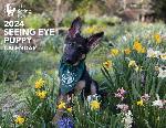 Click here for more information about Pre-Order 2024 Seeing Eye Puppy Calendar