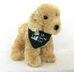 Click here for more information about Small Plush Seeing Eye Puppies